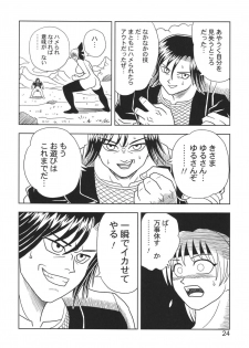 [Muchi Muchi 7 (Hikami Dan, Terada Zukeo)] Kasumi or Ayane (Dead or Alive) - page 24