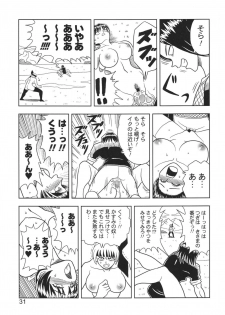 [Muchi Muchi 7 (Hikami Dan, Terada Zukeo)] Kasumi or Ayane (Dead or Alive) - page 31