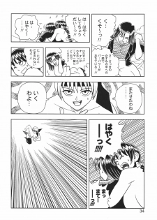 [Muchi Muchi 7 (Hikami Dan, Terada Zukeo)] Kasumi or Ayane (Dead or Alive) - page 34