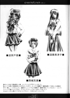 [CARNELIAN] CARNELIAN vol.2 - Re·Leaf Settei Shiryou Tsudo - page 34