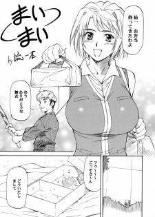 (C72)[Leaf Party (Nagare Ippon)] Lele Pappa Vol.11 Busourenkin (Mai-Hime) - page 4