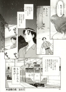 [Himura Eiji] H-BRAND - page 44