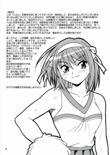 (SC41) [Studio Katsudon (Manabe Jouji)] Haruhi no Uzuki (Suzumiya Haruhi no Yuuutsu) - page 3