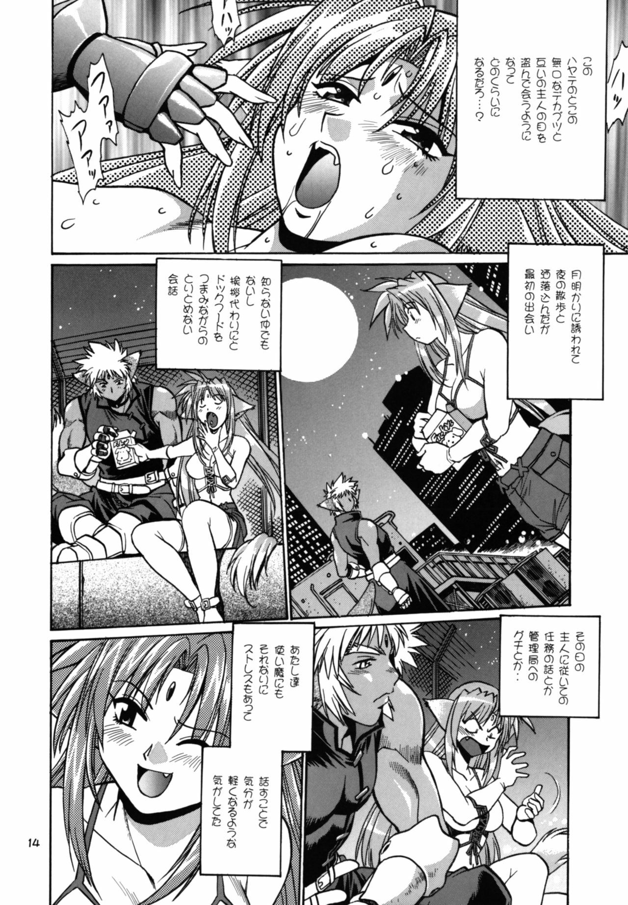 (SC34) [Studio Katsudon (Manabe Jouji)] Kemonotachi no Bansan (Mahou Shoujo Lyrical Nanoha) page 14 full