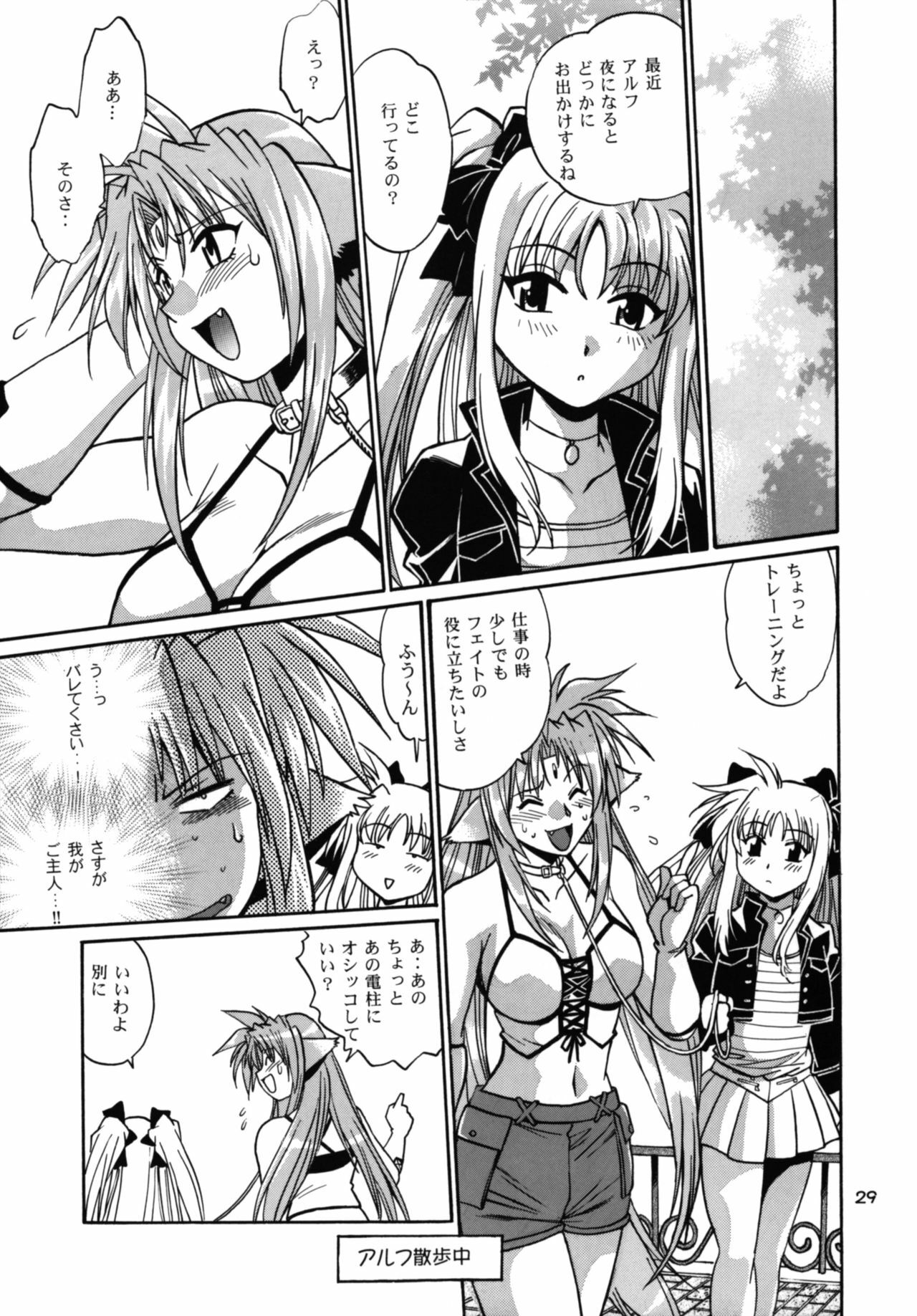 (SC34) [Studio Katsudon (Manabe Jouji)] Kemonotachi no Bansan (Mahou Shoujo Lyrical Nanoha) page 29 full