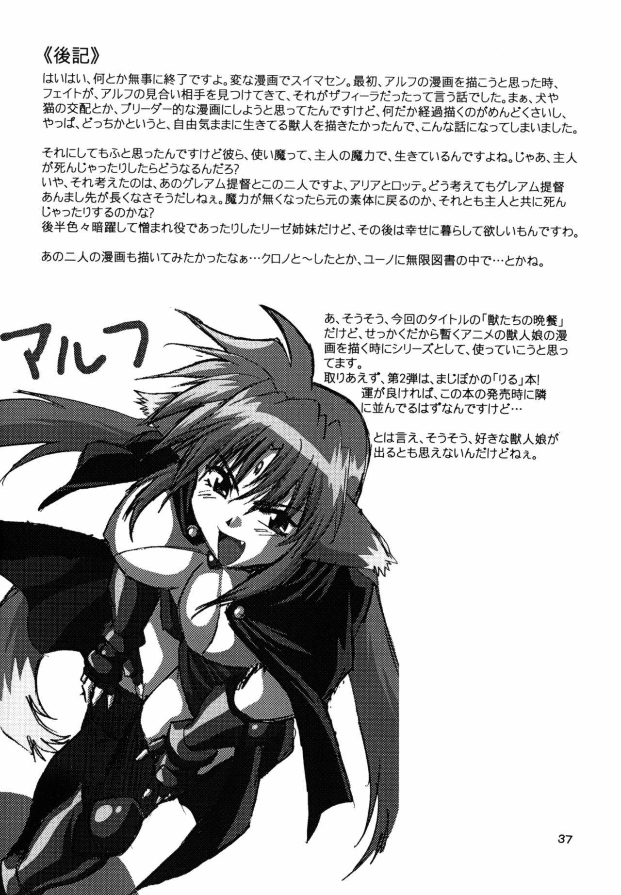 (SC34) [Studio Katsudon (Manabe Jouji)] Kemonotachi no Bansan (Mahou Shoujo Lyrical Nanoha) page 37 full