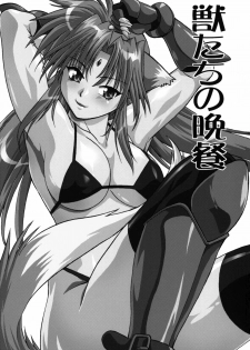 (SC34) [Studio Katsudon (Manabe Jouji)] Kemonotachi no Bansan (Mahou Shoujo Lyrical Nanoha) - page 3