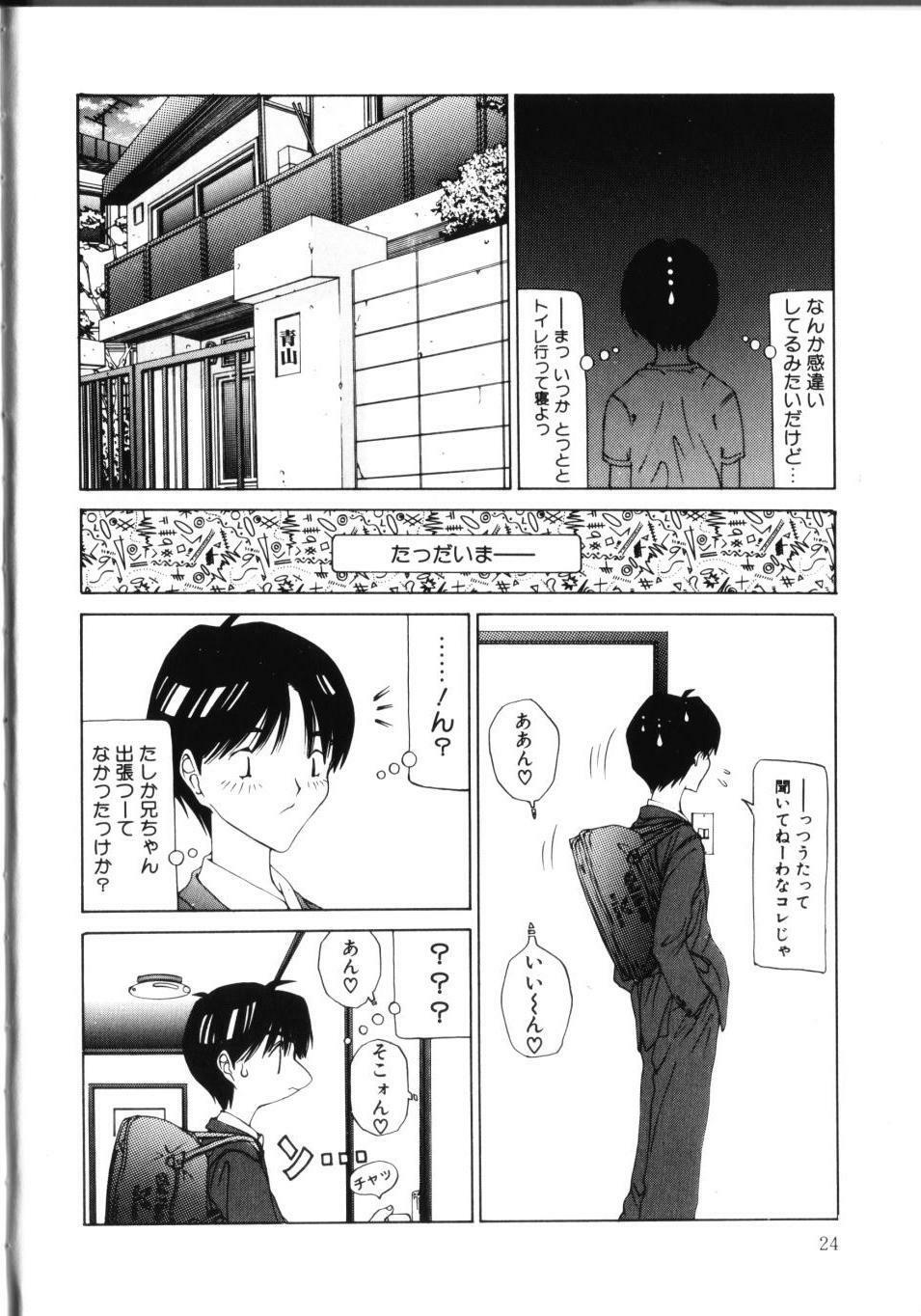 [Sarada Masaki] MOMO no Tane page 29 full