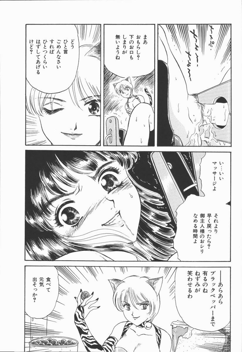 [Fujita Jun] Dorei Bishoujo page 121 full