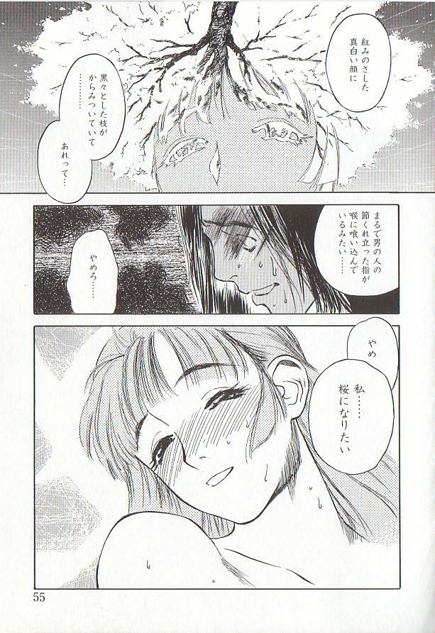 [Tenjiku Rounin] Sakurairo no Shouzou Night Gallery I page 55 full