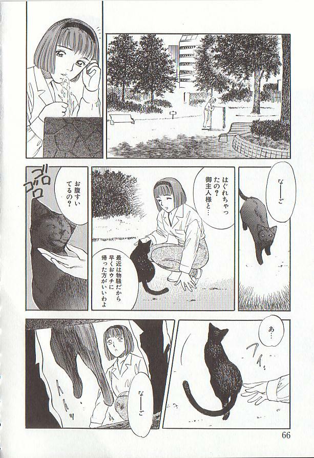 [Tenjiku Rounin] Sakurairo no Shouzou Night Gallery I page 66 full