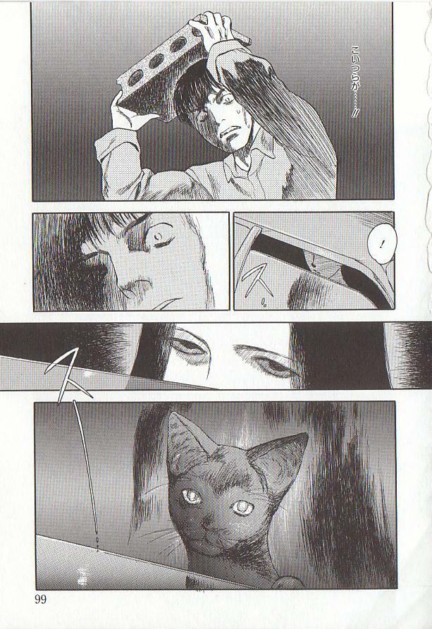 [Tenjiku Rounin] Sakurairo no Shouzou Night Gallery I page 99 full