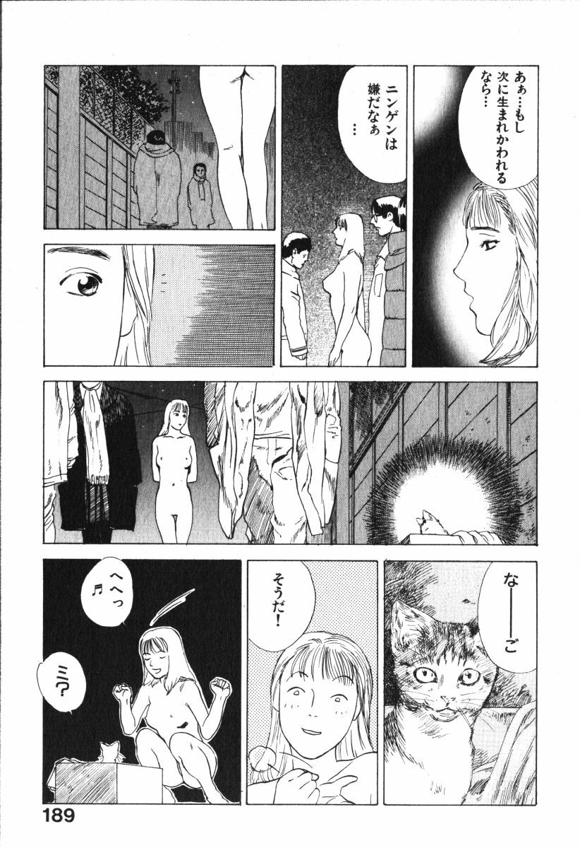 [Tenjiku Rounin] Hoshi ni Negai o Jou page 189 full