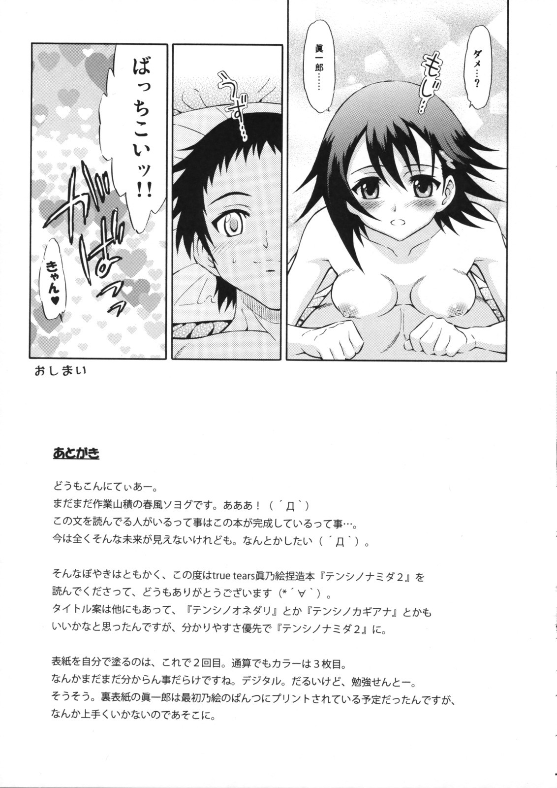 (C74) [GUST (Harukaze Soyogu)] Tenshi no Namida 2 (True Tears) page 18 full