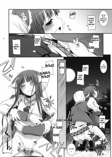 (COMIC1☆2) [Digital Lover (Nakajima Yuka)] D.L. Action 43 (Spice and Wolf) [Portuguese-BR] [BartSSJ] - page 28