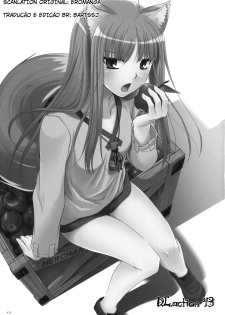 (COMIC1☆2) [Digital Lover (Nakajima Yuka)] D.L. Action 43 (Spice and Wolf) [Portuguese-BR] [BartSSJ] - page 2