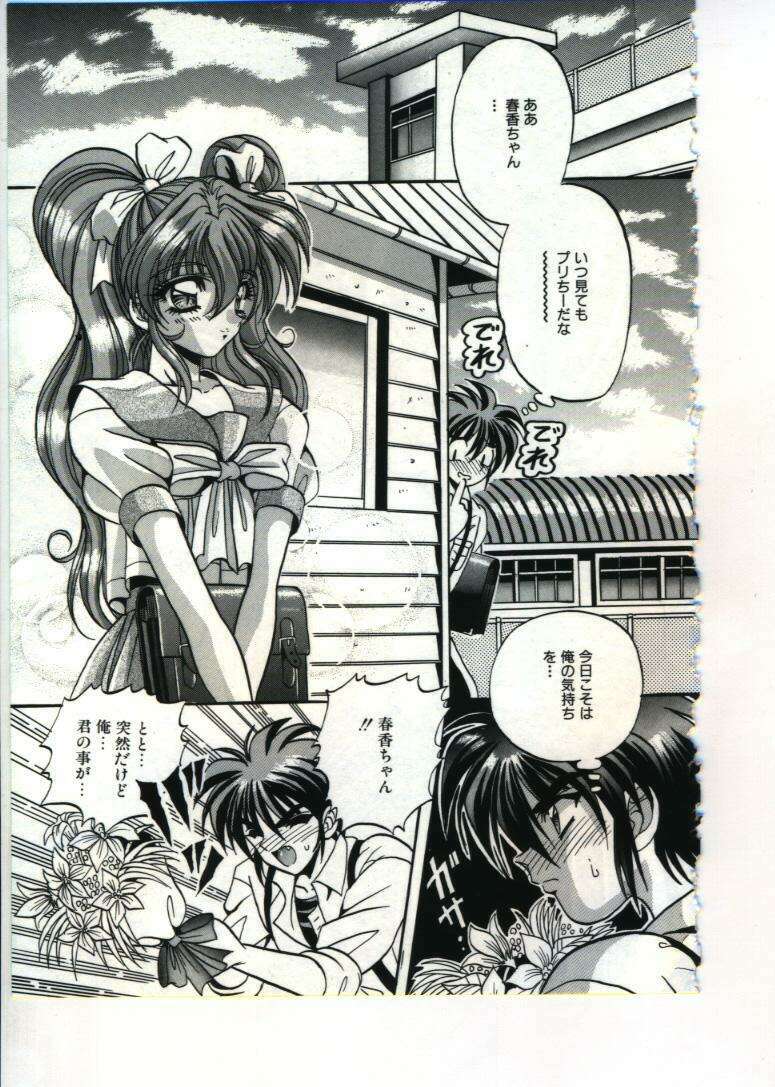 [Appleton] Fairy Paradise page 163 full