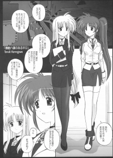 [Kamogawaya (Kamogawa Tanuki)] NineteenS (Mahou Shoujo Lyrical Nanoha) - page 4
