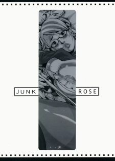 (CSP4) [Hagakure (Lot105)] Junk Rose (Rumble Roses) - page 14