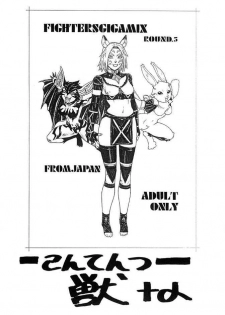 [From Japan (Aki Kyouma)] FIGHTERS GIGA COMICS FGC ROUND 5 (Final Fantasy I) - page 3