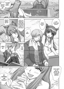 (SC38) [Raijinkai (Haruki Genia)] Wolf Road (Spice and Wolf) [Portuguese-BR] [BartSSJ] - page 8