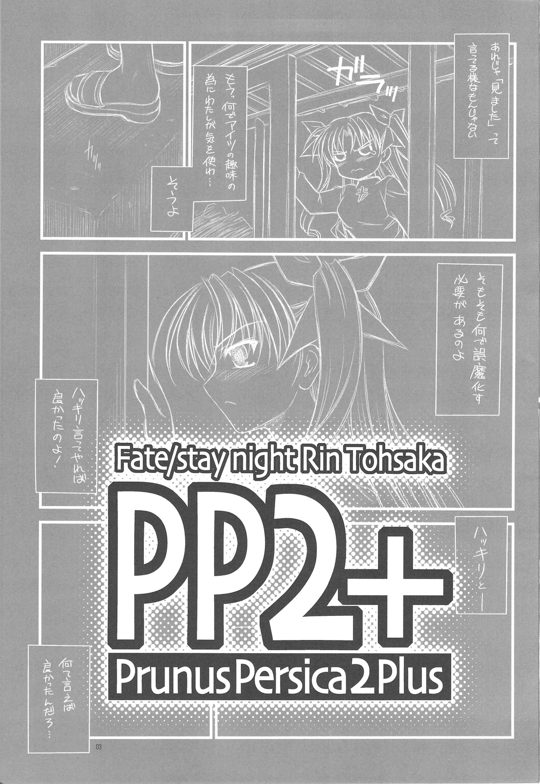 (C75) [Yakan Honpo, Yakan Hikou (Inoue Tommy)] PP2+ Prunus Persica 2 Plus (Fate/stay night) page 2 full