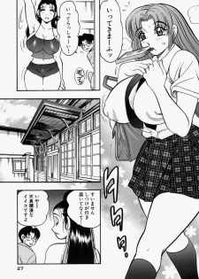 [Bijogi Junction] Yawahada Oyako - page 29