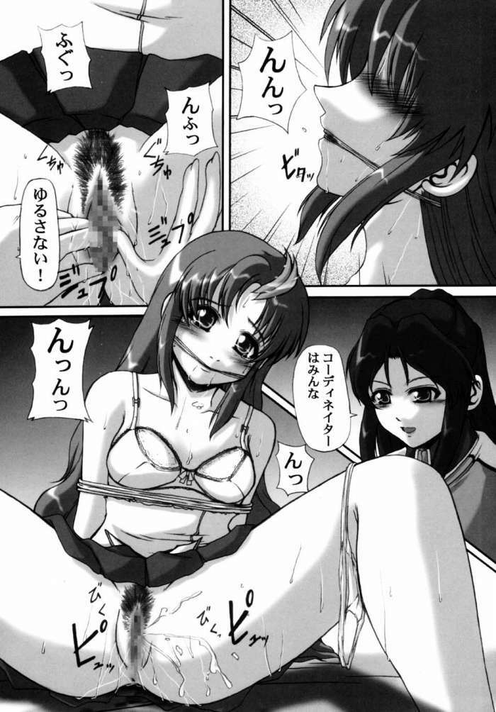 (CR34) [Neo Frontier (Takuma Sessa)] My Milky Way FINAL -Lacs Mix- (Gundam SEED) page 13 full