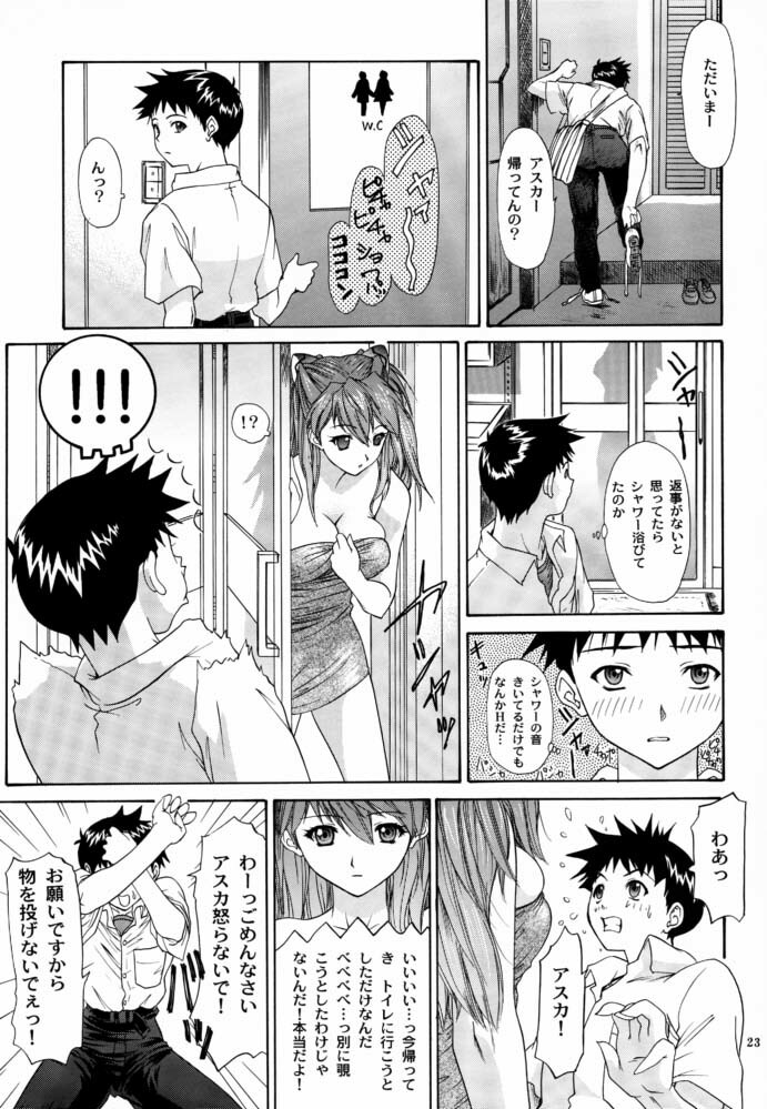 (C63) [Chimatsuriya Honpo (Asanagi Aoi)] Monochrom (Neon Genesis Evangelion) page 22 full