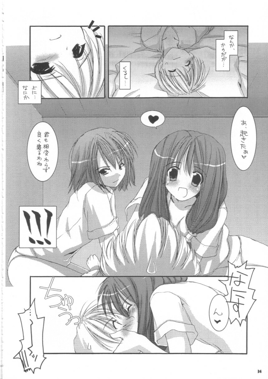 (C63) [Digital Lover (Nakajima Yuka)] D.L.action 16 (Ragnarok Online) page 34 full