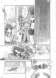 (C63) [Digital Lover (Nakajima Yuka)] D.L.action 16 (Ragnarok Online) - page 7