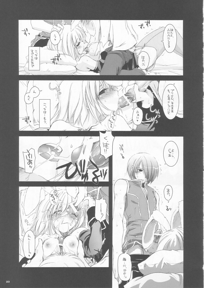 (CR35) [Digital Lover (Nakajima Yuka)] D.L. action 24 (Ragnarok Online) page 23 full