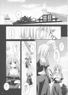 (CR35) [Digital Lover (Nakajima Yuka)] D.L. action 24 (Ragnarok Online) - page 5