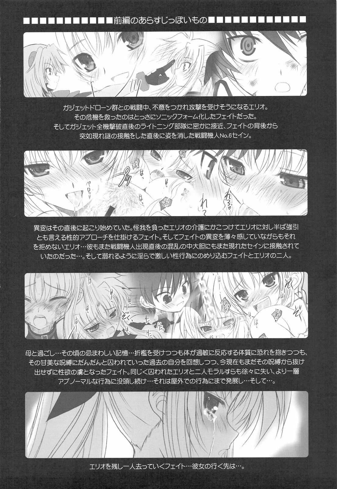 (C75) [DIEPPE FACTORY Darkside (Alpine)] Fate fire with fire Book II (Mahou Shoujo Lyrical Nanoha) page 3 full