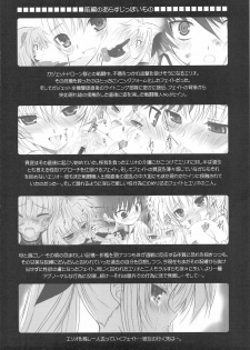 (C75) [DIEPPE FACTORY Darkside (Alpine)] Fate fire with fire Book II (Mahou Shoujo Lyrical Nanoha) - page 3