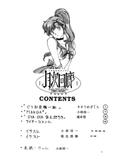 (C45) [Studio Retake (Various)] Tsukinami no Kairou (Bishoujo Senshi Sailor Moon) - page 3