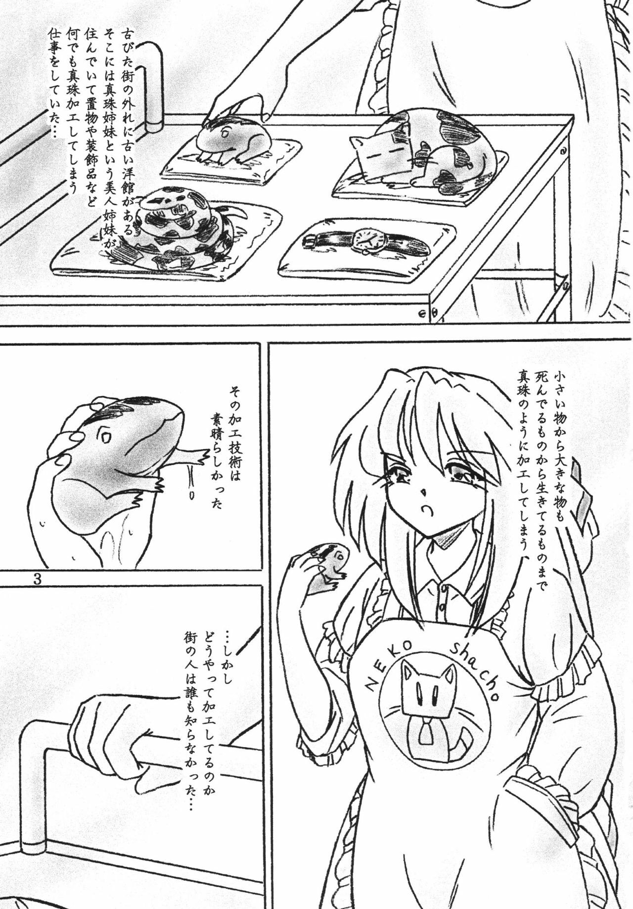 [Sumomo Dou] Shinju Shimai page 2 full