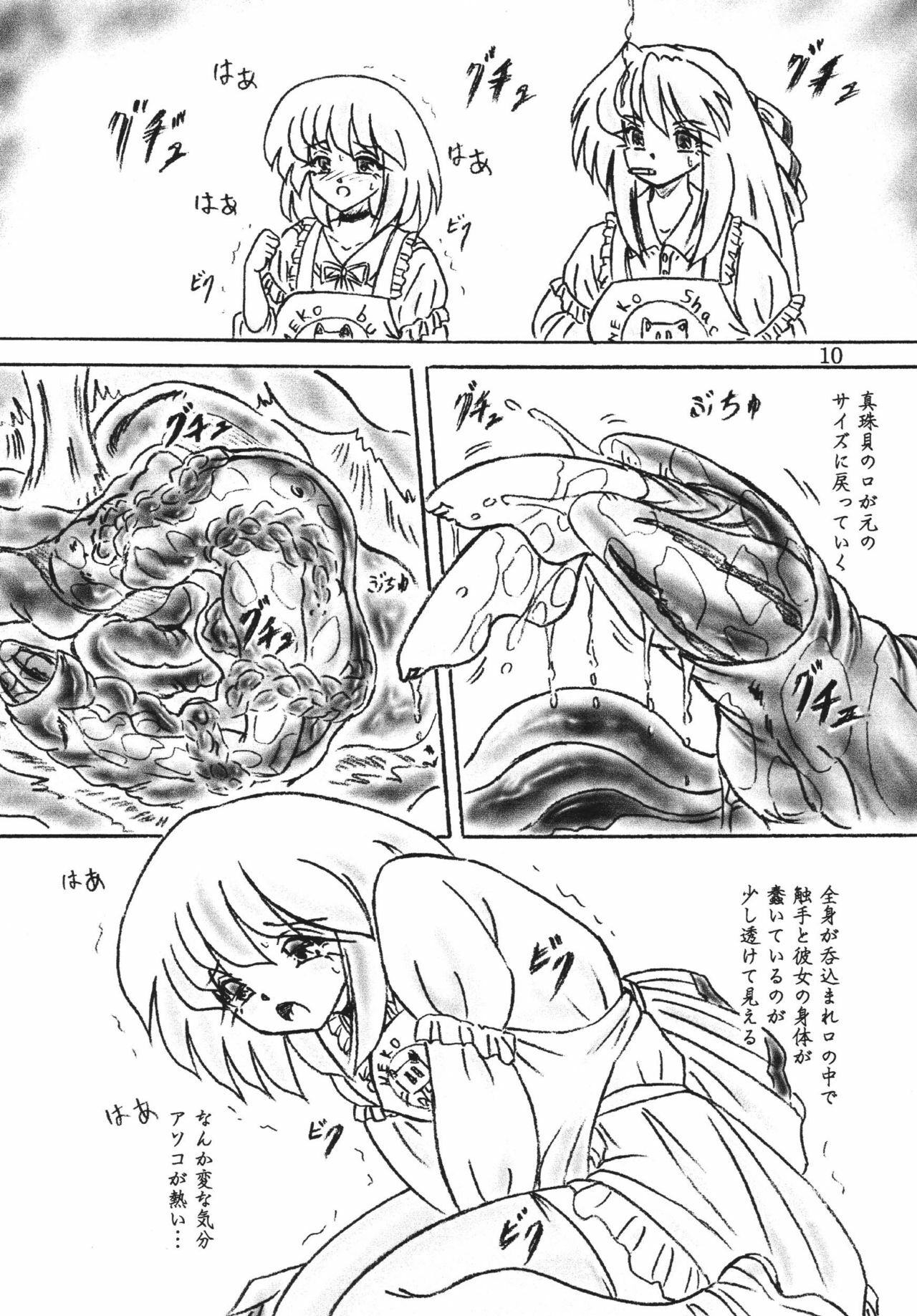 [Sumomo Dou] Shinju Shimai page 9 full