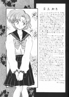 (C47) [Laichi (Mizutama, Shiratama)] Moon Light Vol. 7 Mizu Ga Todomaranai (Bishoujo Senshi Sailor Moon, Tenchi Muyou!) - page 4