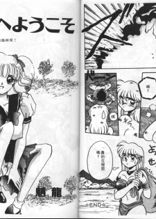 [Anthology] EXTRA WHISPER'94 Vol.5 Tokushuu・FANTASY [Chinese] - page 34