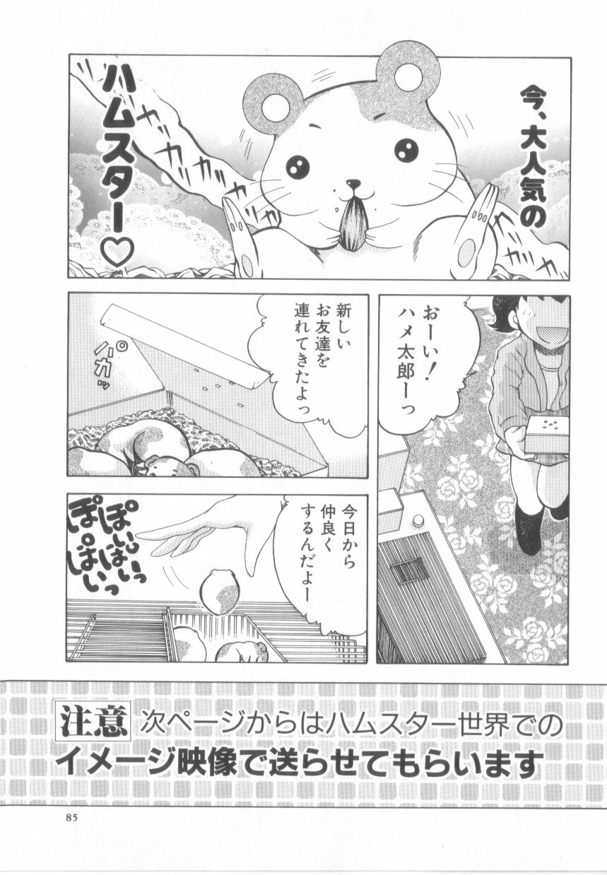 [Awaji Himeji] Awahimeden page 87 full