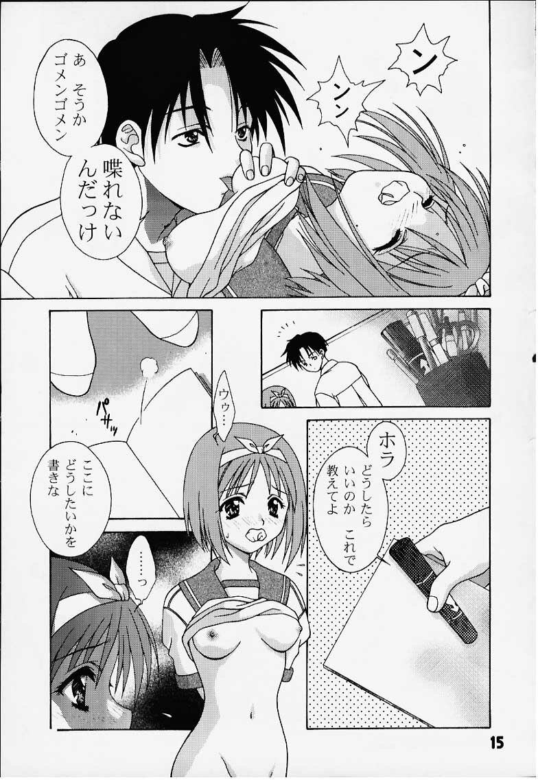 (C58) [Puzzle Town (Shibazaki Mikaru)] Inryoku no Niji (To Heart) page 14 full