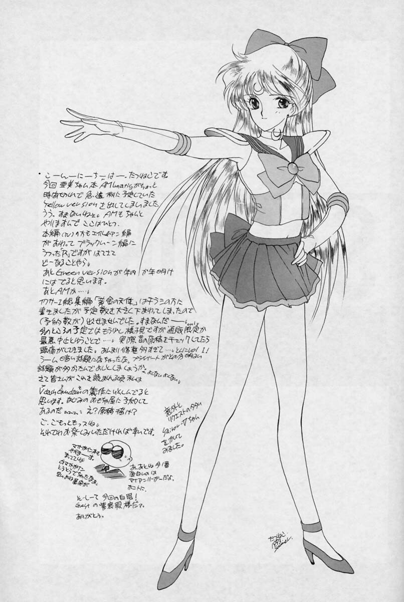 (C44) [Kotatsuya (Tatsuneko)] SAILORS -YELLOW VERSION- (Sailor Moon) page 19 full