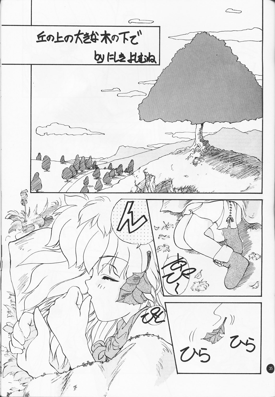 [Ikibata 49ers (Nishiki Yoshimune)] Ayaya+α | Ayaya Plus Alpha (Bishoujo Senshi Sailor Moon) page 34 full