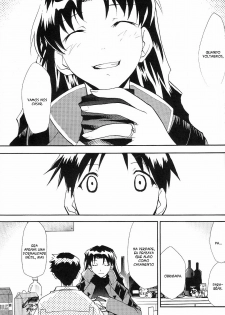 (C71) [Studio Kimigabuchi (Kimimaru)] RE-TAKE ~After~ (Neon Genesis Evangelion) [Portuguese-BR] [Mental_Inertia] - page 29