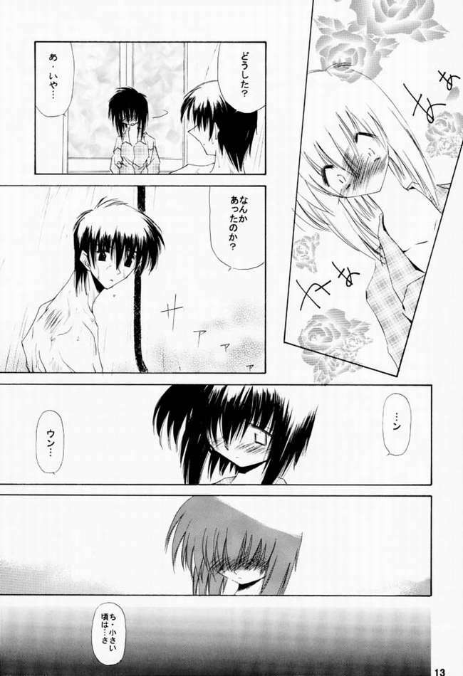 [Nansyu-Koubow] Kanro 2001 Summer Anii no Nioi... (Sister Princess) page 10 full