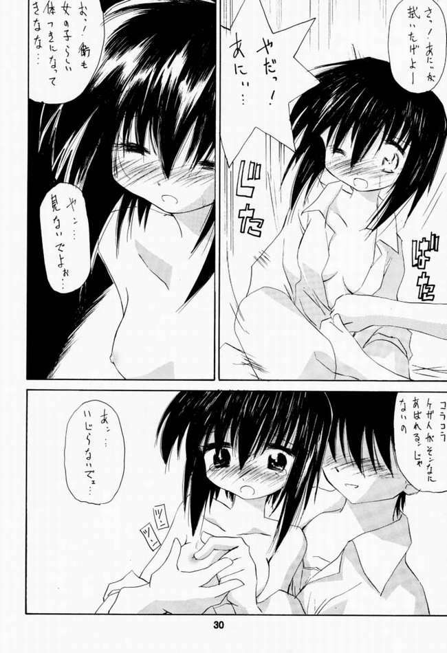 [Nansyu-Koubow] Kanro 2001 Summer Anii no Nioi... (Sister Princess) page 27 full