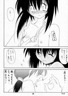 [Nansyu-Koubow] Kanro 2001 Summer Anii no Nioi... (Sister Princess) - page 33