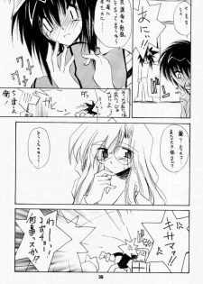 [Nansyu-Koubow] Kanro 2001 Summer Anii no Nioi... (Sister Princess) - page 36