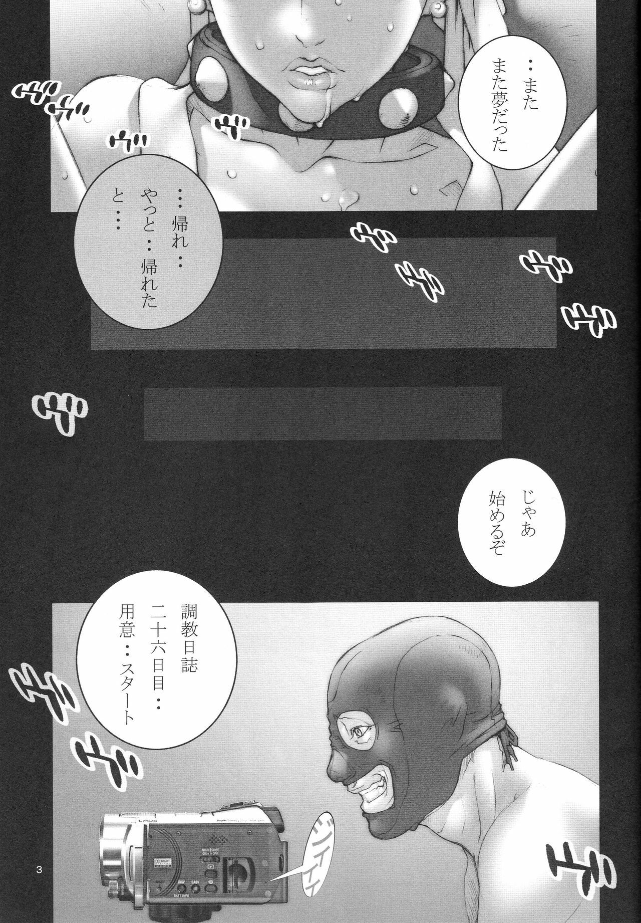 (C74) [P-collection (Nori-Haru)] Haru Urara (Street Fighter) page 4 full